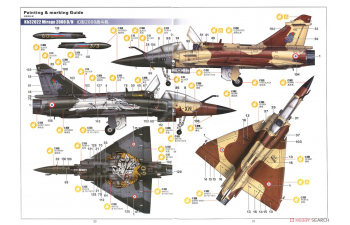 Сборная модель Mirage 2000 D/N