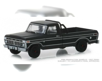 FORD F-100 пикап 1975 Black