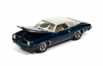 PONTIAC Grand Am (1973), blue