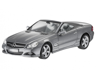 MERCEDES-BENZ SL-Class Roadster R230 (2008), silver palladium