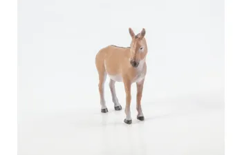 Дикие животные России № 25: Кулан