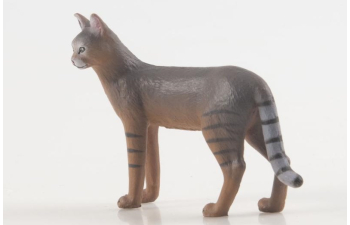 Дикие животные России № 38: Камышовый кот