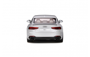 Audi RS5 Sportback - 2019 (grey)