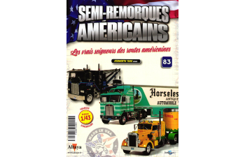 KENWORTH T600 (2000), Mes voitures de collection