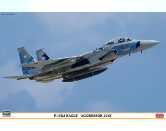 Сборная модель F-15DJ AGGRESSOR 2013