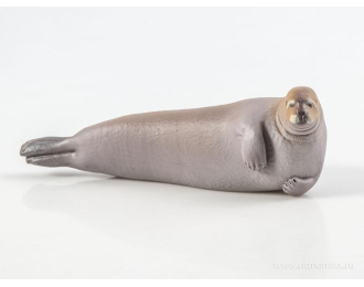 Дикие животные России № 28: Морской заяц (только вложение)