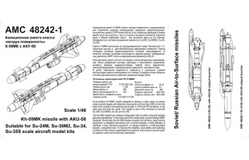 Авиационная управляемая ракета Х-59MK с пусковой АКУ-58