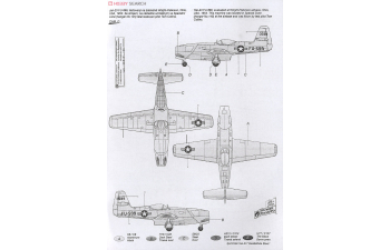 Сборная модель Yakovlev Yak-23 Flora "RedWhite Stars"