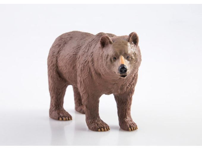 Дикие животные России № 4: Бурый медведь (только вложение)