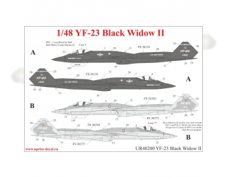 Декаль для YF-23 Black Widow II