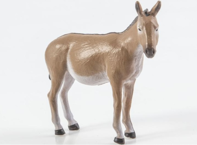 Дикие животные России № 25: Кулан (только вложение)