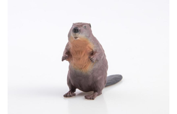 Дикие животные России № 8: Бобр