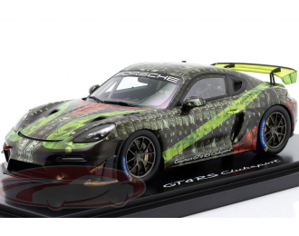 PORSCHE 718 Cayman GT4 RS Clubsport (982), multicolour (Hunter)