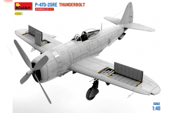 Сборная модель DRAGON WINGS P-47D-25RE Thunderbolt Airplane Military