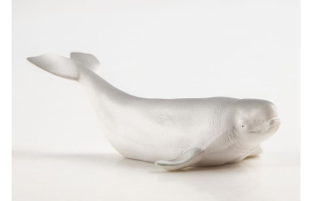 Дикие животные России № 33: Белуха (только вложение)