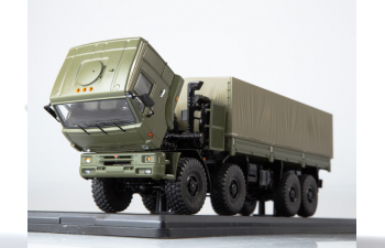 Камский грузовик 6560 бортовой (с тентом), хаки