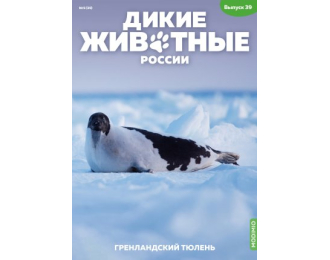Дикие животные России № 39: Гренландский тюлень