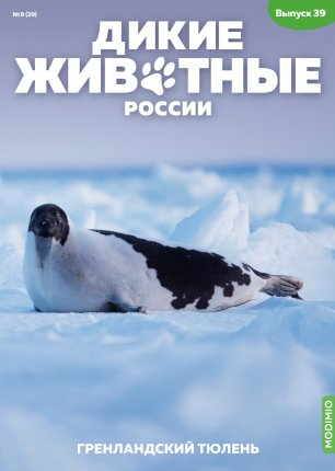 Дикие животные России № 39: Гренландский тюлень