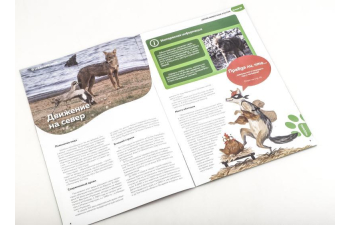 Дикие животные России № 32: Шакал