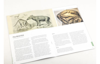 Выпуск №28. Камни и минералы. Тайны недр, Апатит