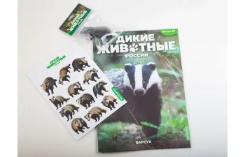 Дикие животные России № 22: Барсук