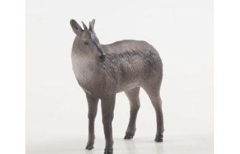 Дикие животные России № 34: Амурский горал (только вложение)