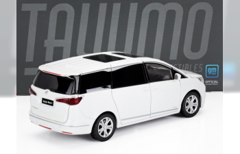 BUICK Gl8 (2000), white