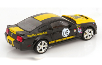 FORD Shelby Mustang Terlingua Racing Team (2008), black yellow