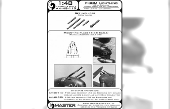 Набор вооружения для P-38М Lightning (стволы для Brownings 12,7мм и пушки 20мм с пламегасителями)