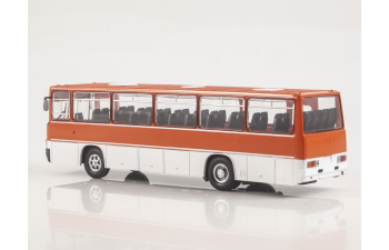 IKARUS-256 Звезда магистралей, Наши автобусы 31-1