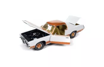 PONTIAC Royal Bobcat Grand Prix Model J (1969), white golden