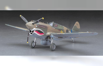 Сборная модель P-40E Warhawk