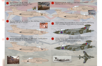 Blackburn Buccaneer Wet decal