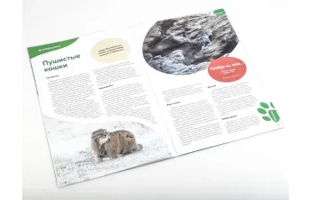 Дикие животные России № 24: Манул