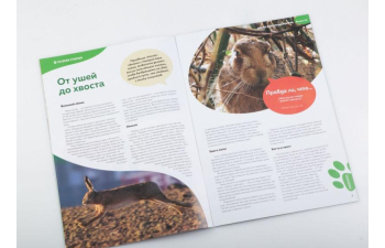 Дикие животные России № 10: Заяц русак