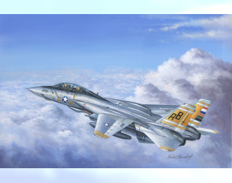 Сборная модель Самолет F-14A Tomcat