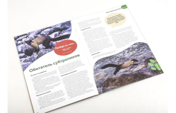 Дикие животные России № 36: Харза