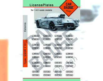 Комплект номерных знаков СССР-Эстония (1981)
