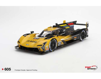 Cadillac V-serie.R #01 Cadillac Racing Sebring 12 hrs, yellow/black 2024