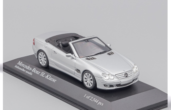 MERCEDES-BENZ SL (2007), silver