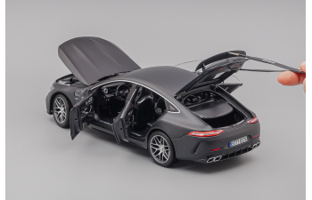 MERCEDES-BENZ AMG GT63s, gray matt