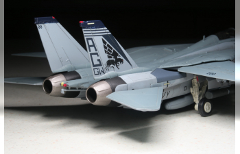 Grumman F-14B Tomcat Diecast Model USN VF-143 Pukin Dogs AG100 NAS Oceana VA 2005 (Wings of Heroes)