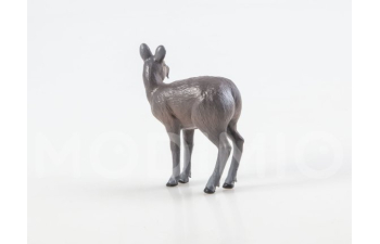 Дикие животные России № 19: Кабарга