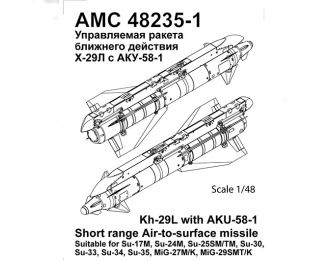 Набор для доработки Советская / российская ракета класса воздух-поверхность Х-29Л с пилоном АКУ-58-1 (NATO AS-14 Kedge A)