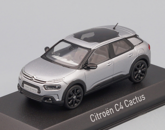 CITROEN C4 New Cactus (кроссовер) 2018 Aluminium Grey/Black