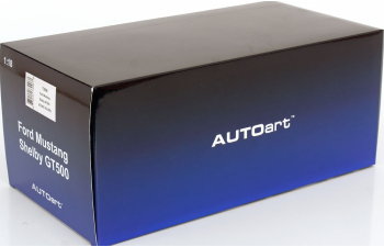 FORD Mustang Shelby GT 500, silver black