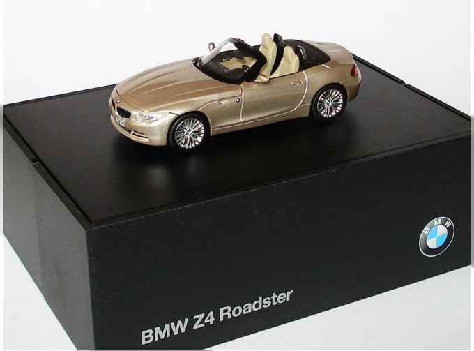 BMW Z4 sDrive35i E89 (2009), orion silber met.