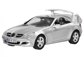 MERCEDES-BENZ SLK-Class Roadster Vario-roof R171 (2004), silver iridium