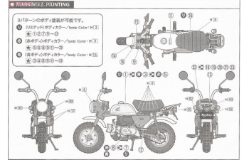 Сборная модель Honda Monkey Bike