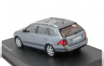 VOLKSWAGEN Golf V Variant (2007), platinum grey